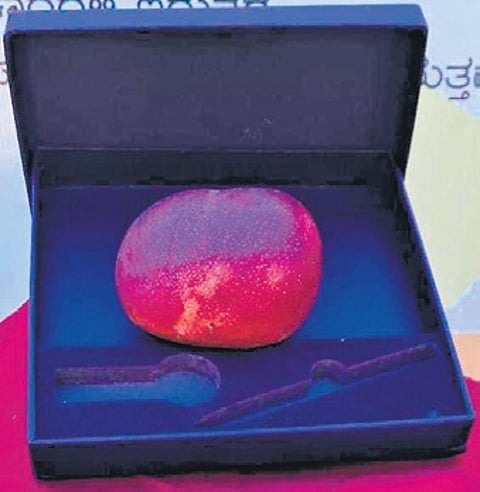 The Miyazaki mango on display