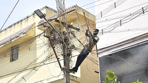 The village in the foothill of Kathirimalai has about 100 houses belonging to the Solaga community.