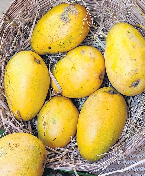 Image used for representational purposes only