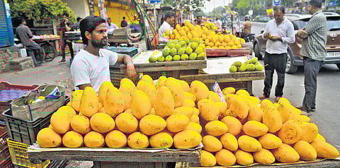 Mango season in Delhi