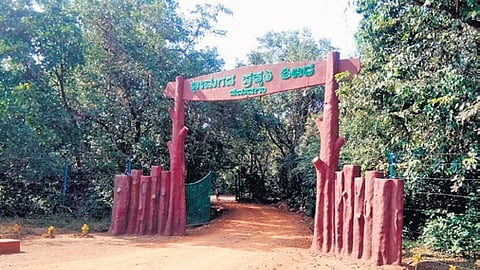 The Bhimgad Wildlife Nature Camp at Hemadaga in Khanapur.