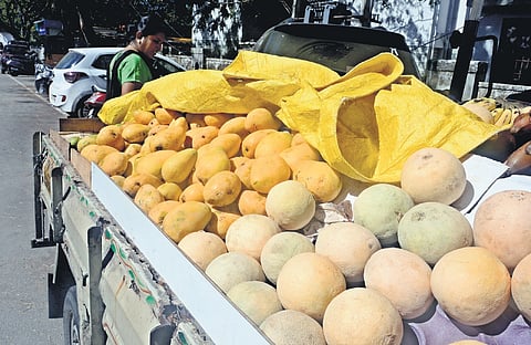 Mangoes and bananas are the ones which are usually ripened using chemicals