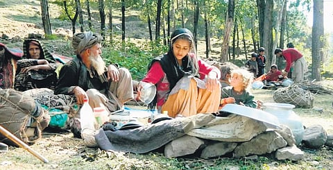 Migration on: Gujjars, Bakerwals rue poll delay in Anantnag-Rajouri