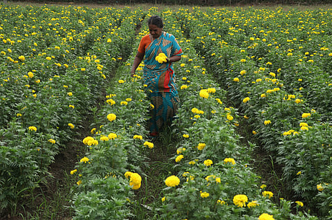 Image used for representational purposes only.