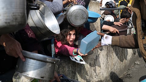 Palestinians line up for free food during the ongoing Israeli air and ground offensive on the Gaza Strip in Rafah