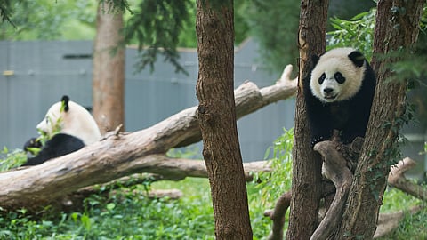 Image used for representational purposes only.