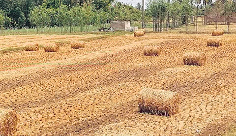 In February, hay was sold for `200 per 30-kg roll