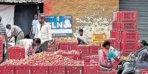 Tomato market in Madanapalle