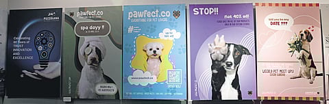 Graphico 2024 - the annual design and visual art exhibit, took place at Hamstech College, showcasing the students' talents in graphic design