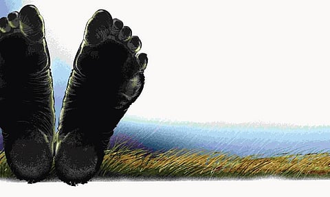 Representative Image.