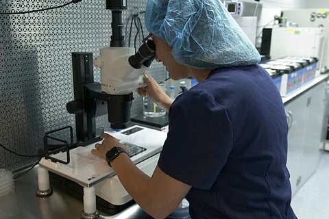 Dr. Leah Roberts, a reproductive endocrinologist-fertility specialist, looks through a microscope while discussing Florida’s six-week abortion ban, which took effect Wednesday, May 1, 2024, in her office and laboratory in Boca Raton, Fla., Tuesday, April 29.