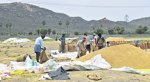 Agricultural labourers dry soaked paddy at a procurement centre on the outskirts of Hyderabad