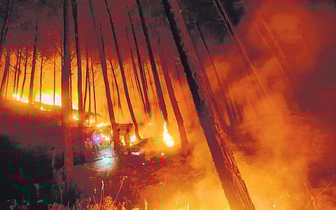 Forest fire rages in Uttarkashi district of Uttarakhand.