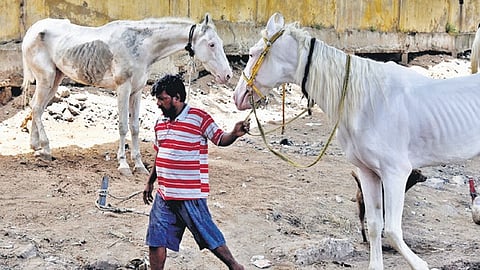 Image used for representational purposes only.