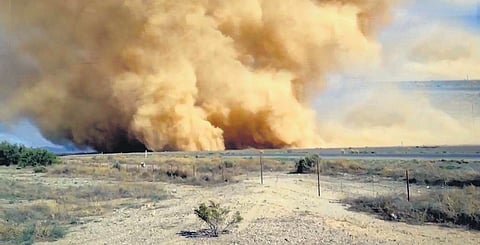 As global temperatures rise, the trend of dust storms is also increasing, says IMD