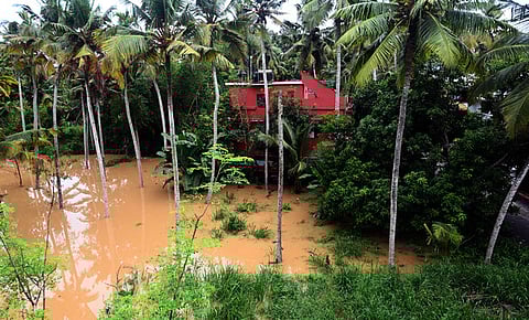 Picture used for representative purposes only.