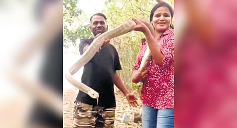 Video posted online by Abdul Rahman of Puliyakulam and Maheswari of Chinnavedampatti