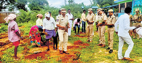 Out of 3,000 saplings planted in the village, 1,000 are yielding toddy now and helping toddy tappers to become financially independent