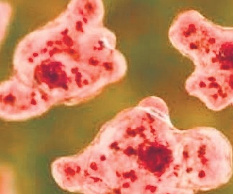 Image used for representational purposes only