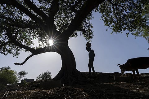 Vaibhav Maske, a farmer, carries water in a vessel at his farm outside Beed, India, Friday, May 3, 2024.