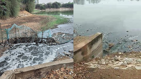 Sewage flows into Sheelavanthakere
Lake from a stormwater drain.