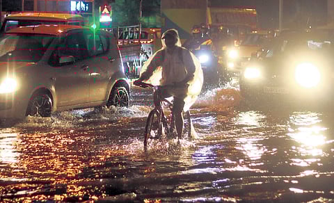 Image used for representation