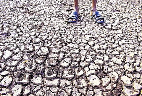 After the Southwest and Northeast monsoons failed last year, Karnataka government declared 223 taluks as drought-hit