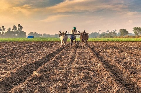 An estimate of crop loss on 46.11 lakh hectares of agricultural land, and 2.06 lakh hectares of horticulture land was drawn up.