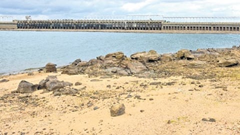 CWMA endorses CWRC decision to reject TN demand for Cauvery water