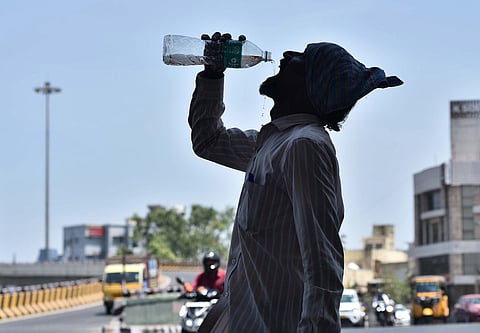 A man quenches his thirst in Chennai amid soaring temperatures (Photo | Express)