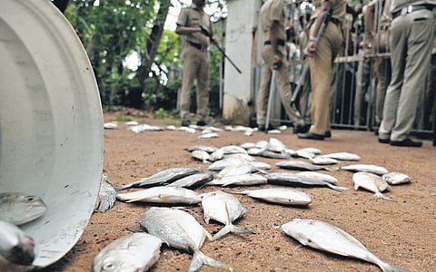 The protestors threw rotting fish into the Eloor PCB office compound
