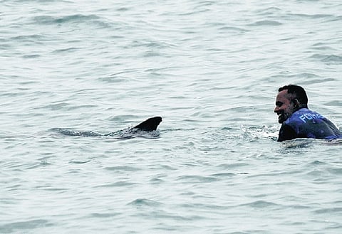 Anti-poaching watcher Selvam guided the whale back to the sea by swimming along with it.