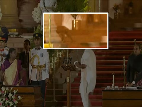 "Common house cat": Delhi Police clarifies on 'mysterious animal' seen at Rashtrapati Bhavan during swearing-in