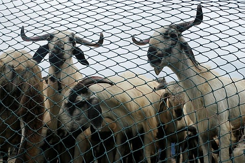 Image used for representational purposes only.