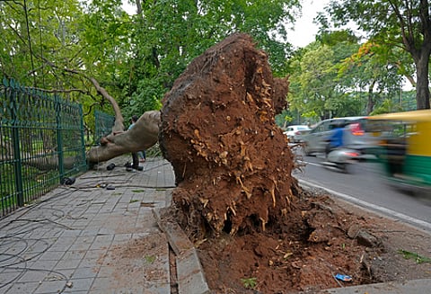 Representational photo