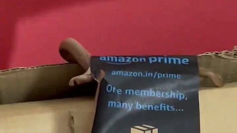 Live snake instead of Xbox controller.