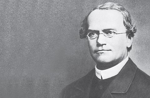 Gregor Mendel
