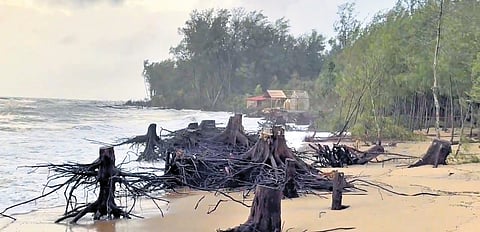 Devbagh Beach destroyed due to sea erosion