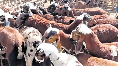 Image used for representational purposes only.