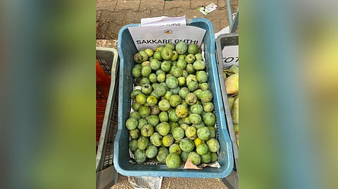 Sakkar Guthi, locally known as ‘Sugar Baby.