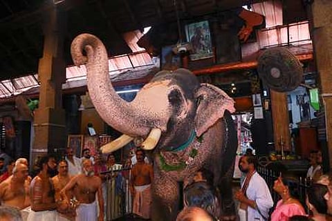 Image of a temple elephant used for representational purposes only