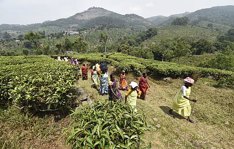 Image used for representative purpose only