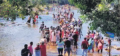 Tourists cross river Cauvery to reach Dubare Camp