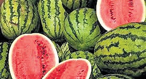 For representational purposes