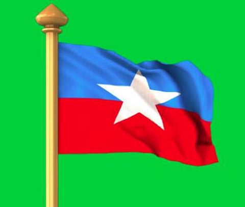 Representational image of VCK flag