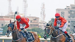 Karnataka HC nod to BTC for races, betting