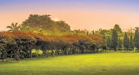 Noida International Airport gets a dedicated reserve forest