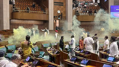 Parliament security breach incident