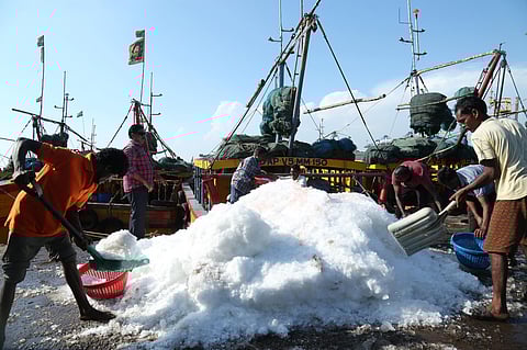 Fishermen loading ice at the Visakhapatnam fishing harbour (Photo | Express)