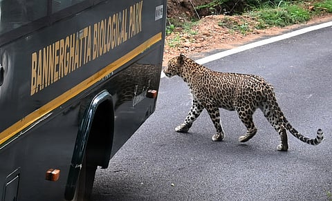 Representative image.